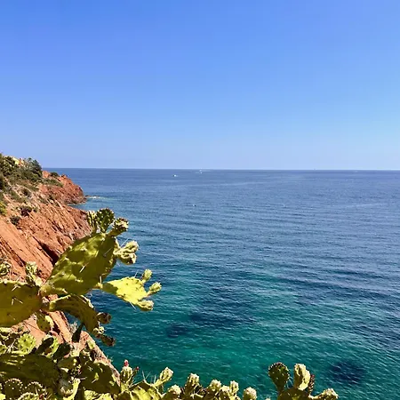 Cap Neree By Terrys Homes Lägenhet *