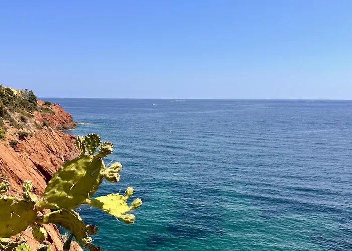 Cap Neree By Terrys Homes Appartement *